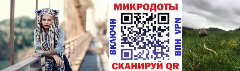 что такое наркотик  Чапаевск  Псилоцибиновые грибы MAGIC MUSHROOMS 